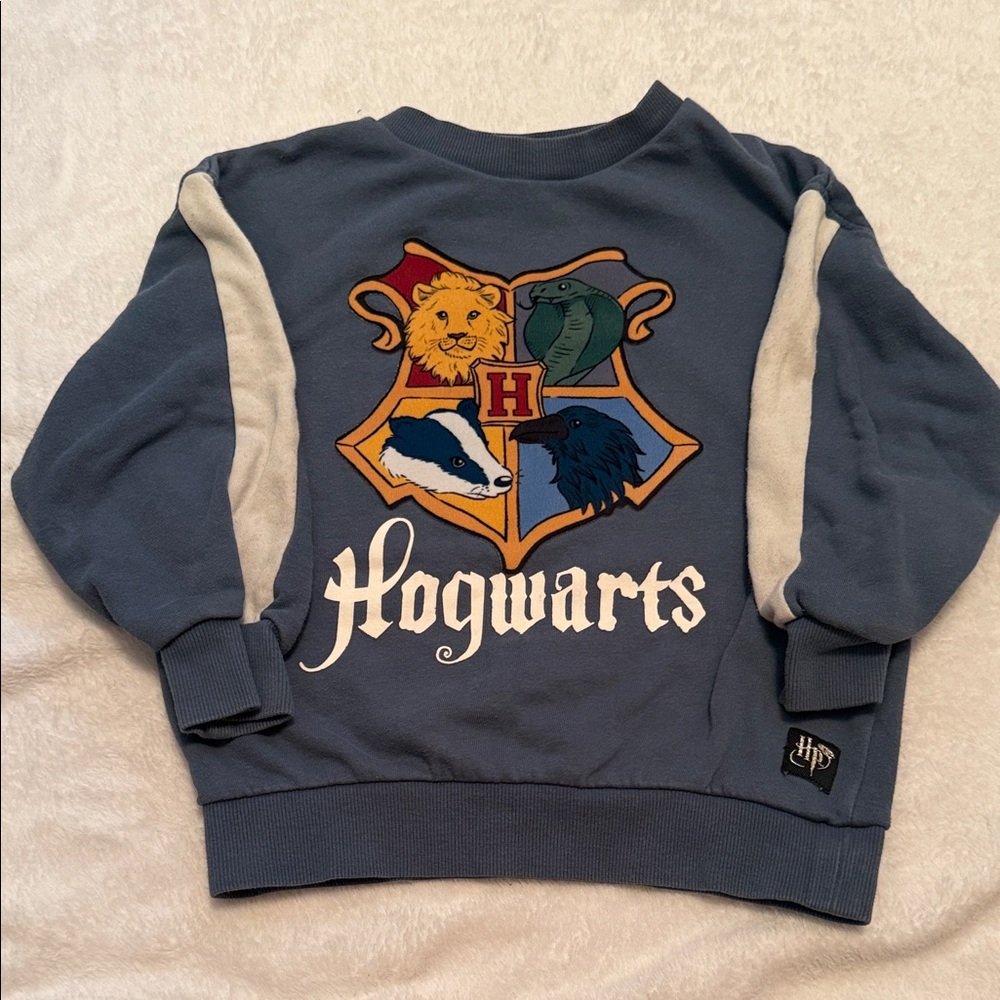 Warner Bros. Harry Potter Blue Sweatshirt